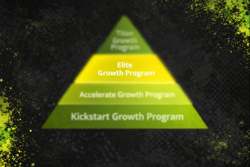 Elite program marketing pyramid