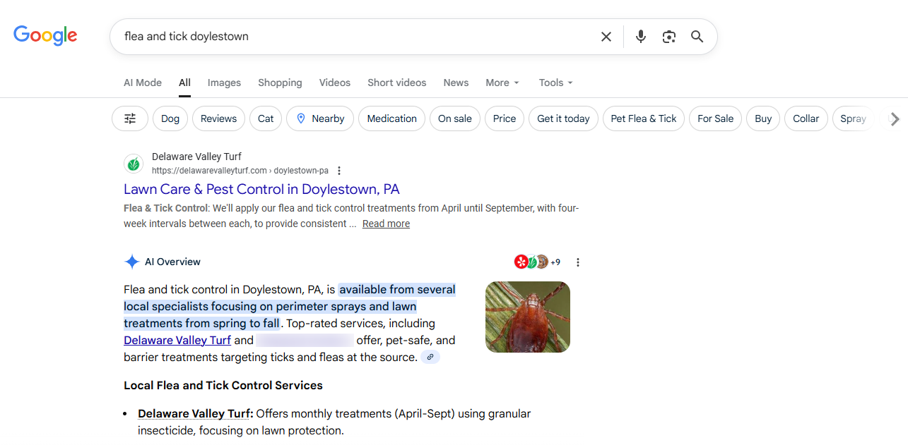 Position 1 ranking proof in Google search results