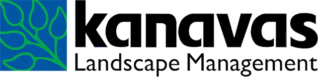 Kanavas Logo