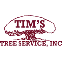 Tim's Tree Service
