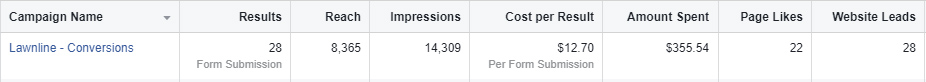 Screenshot: Facebook marketing results.