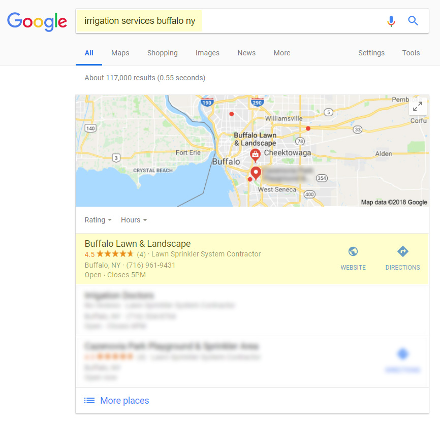 Screenshot: Irrigation company's organic rankings on Google.